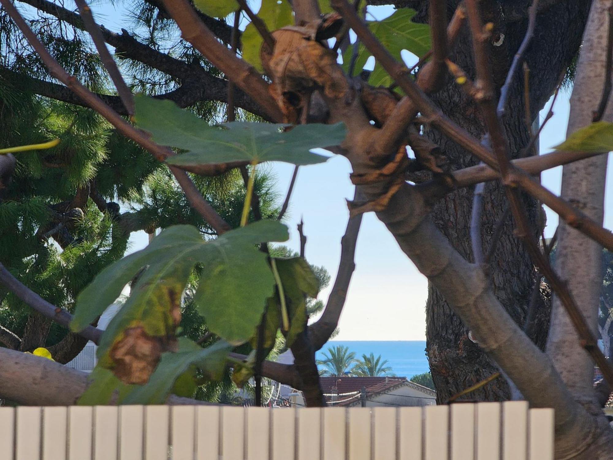 Detente Oceane S2 Proche De La Mer Wifi Clim Cagnes-sur-Mer Dış mekan fotoğraf